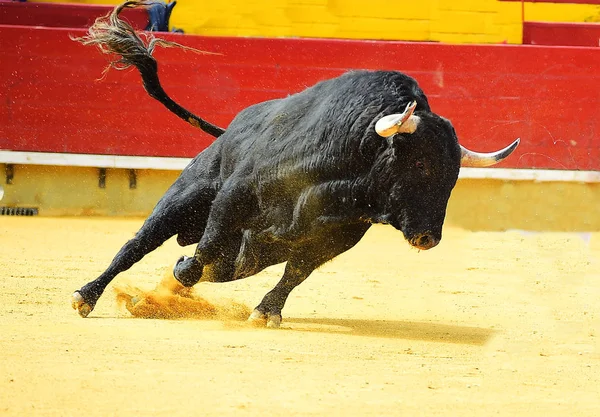 Grande Touro Preto Correndo Bullring — Fotografia de Stock