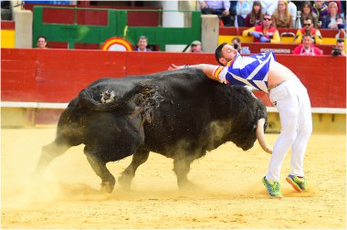Büyük boynuzlu İspanya bullring İspanyol boğa 