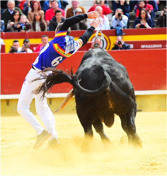 Spanska Tjuren Tjurfäktningsarenan Spanien Med Stora Horn — Stockfoto