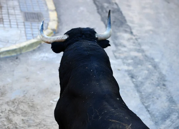 Μεγάλο Ταύρο Στην Ισπανία Που Εκτελούνται Αρένα Ταυρομαχιών — Φωτογραφία Αρχείου