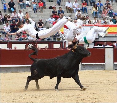 Siyah İspanyol bullring boğa