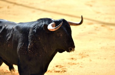 İspanyol bullring Kızgın Boğa