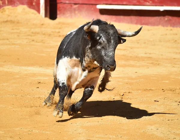 Spanska Striderna Tjuren Tjurfäktningsarena — Stockfoto