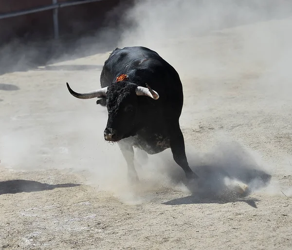 Toro Spagna Che Corre Nell Arena — Foto Stock