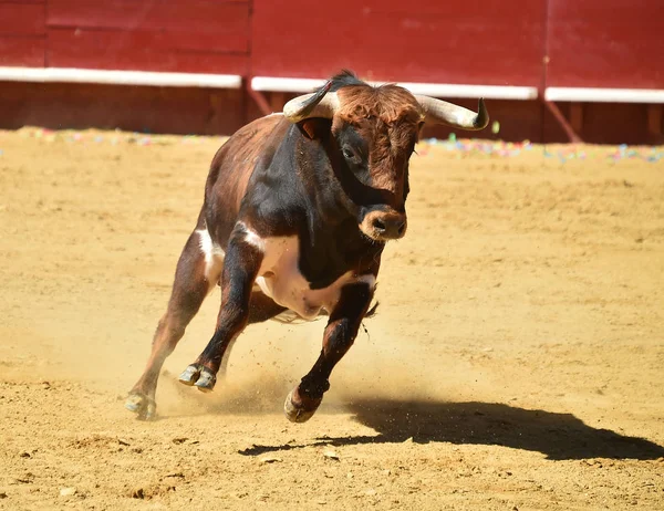 Vechten Stier Lopen Spaanse Stierenarena — Stockfoto