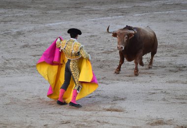 büyük boğa ile İspanya boğa güreşi