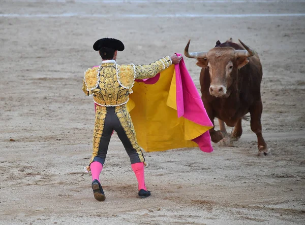 Corrida Spagna Con Grande Toro — Foto Stock