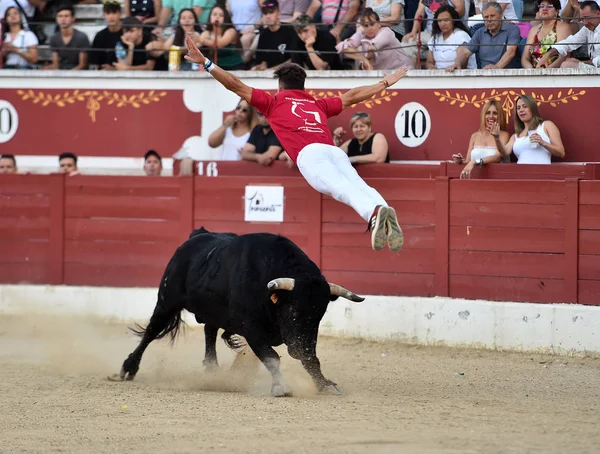 Walka Byka Hiszpanii Tradycyjnym Spektaklu — Zdjęcie stockowe