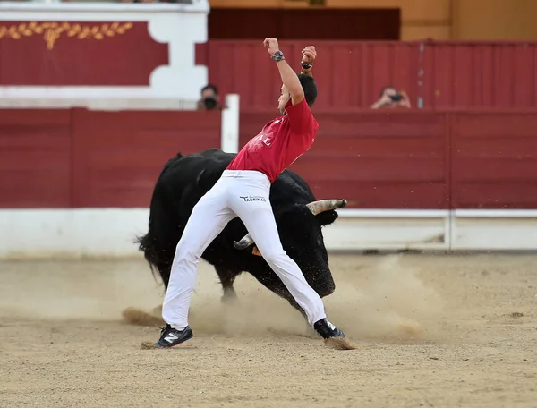 斗牛在西班牙的传统奇观 — 图库照片