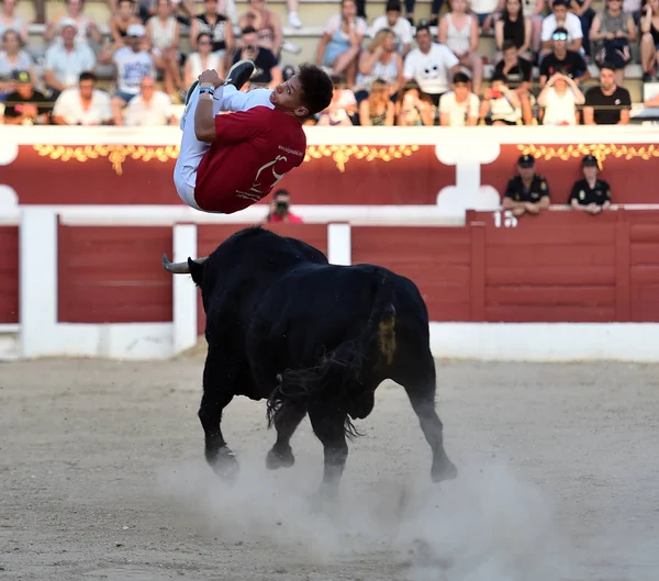 伝統的な光景でスペインの闘牛 — ストック写真