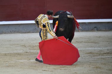 geleneksel gözlük İspanya boğa güreşi