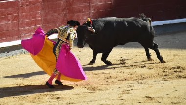 geleneksel gözlük İspanya boğa güreşi