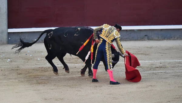 Tourada Espanha Espetáculo Tradicional — Fotografia de Stock