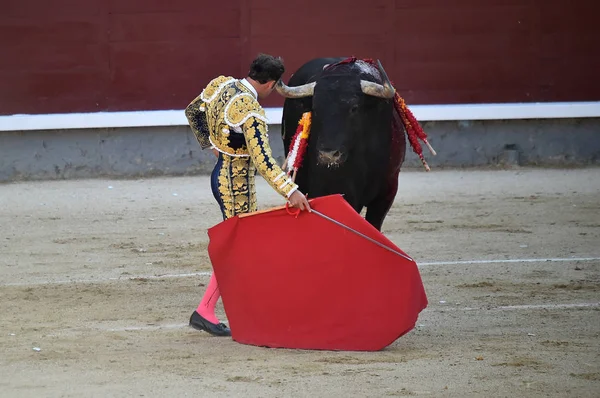 Corridas Toros España Espectáculo Tradicional — Foto de Stock