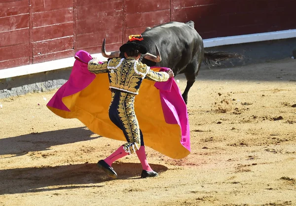 Walka Byka Hiszpanii Tradycyjnym Spektaklu — Zdjęcie stockowe