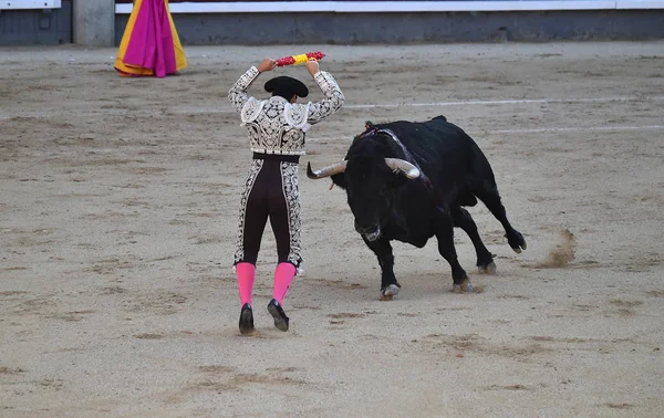 Tjurfäktning Spanien Traditionella Spektakel — Stockfoto