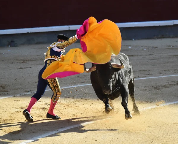 伝統的な光景でスペインの闘牛 — ストック写真