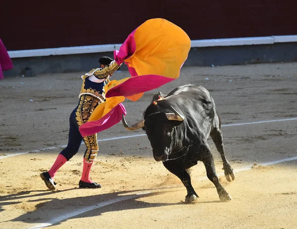 Tjurfäktning Spanien Traditionella Spektakel — Stockfoto