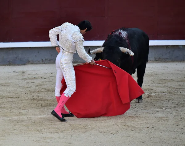 伝統的な光景でスペインの闘牛 — ストック写真