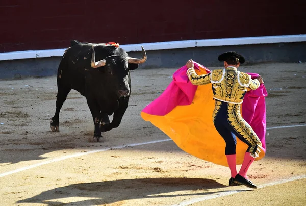 Corrida Spagna Nello Spettacolo Tradizionale — Foto Stock