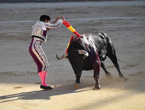 Tourada Espanha Espetáculo Tradicional — Fotografia de Stock