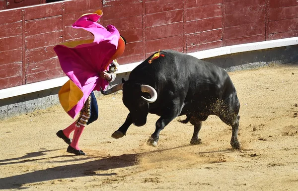 Бичачий Бій Іспанії Традиційному Видовищі — стокове фото
