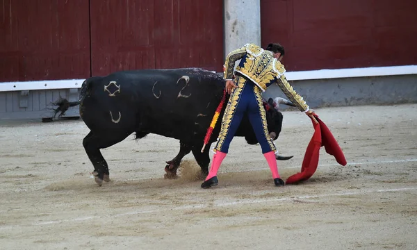 Tourada Espanha Espetáculo Tradicional — Fotografia de Stock