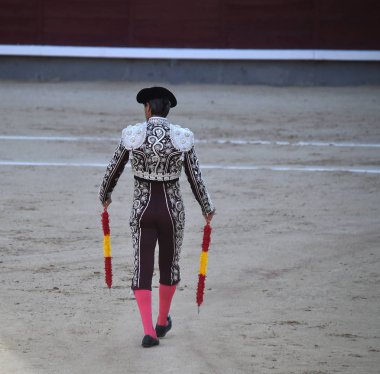 İspanya boğa güreşinde geleneksel gösteride İspanyol boğa