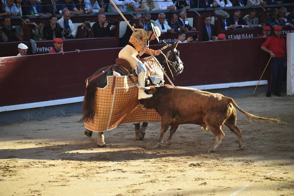 スペインの闘牛で伝統的な光景でスペインの雄牛 — ストック写真