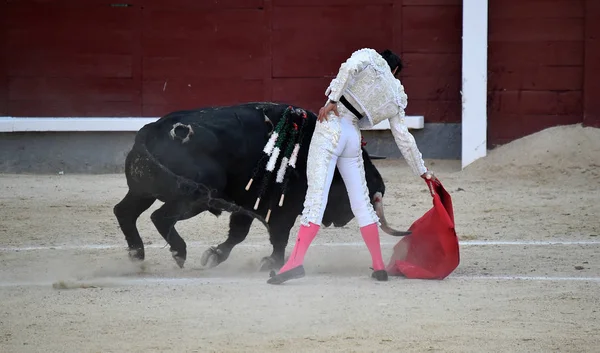 Spanya Boğa Güreşinde Geleneksel Gösteride Spanyol Boğa — Stok fotoğraf