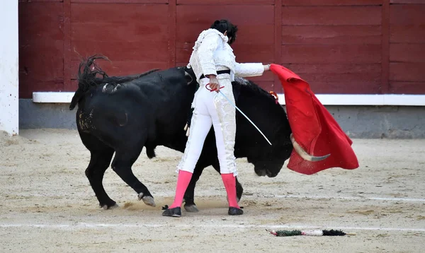 Toro Spagnolo Nello Spettacolo Tradizionale Nell Arena Sulla Spagna — Foto Stock