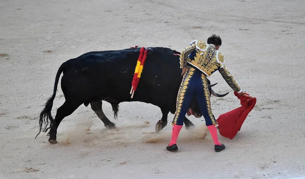 Ισπανικό Ταύρο Παραδοσιακό Θέαμα Στην Αρένα Ταυρομαχιών Στην Ισπανία — Φωτογραφία Αρχείου