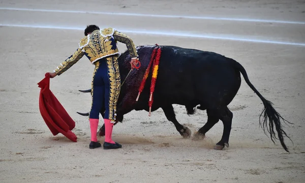 Taureau Espagnol Dans Spectacle Traditionnel Dans Arène Sur Espagne — Photo