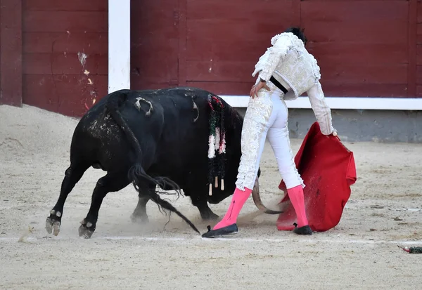 Spanischer Stier Bei Traditionellem Spektakel Der Stierkampfarena Von Spanien — Stockfoto