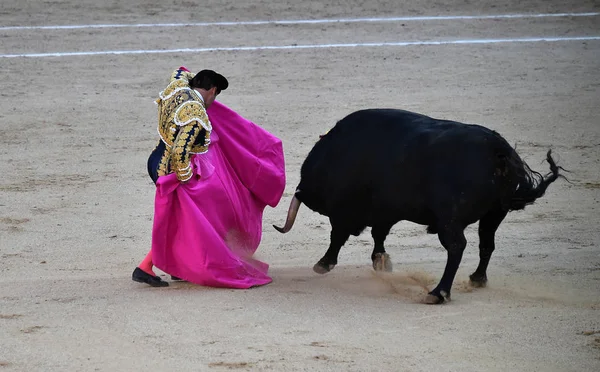 スペインの闘牛で伝統的な光景でスペインの雄牛 — ストック写真