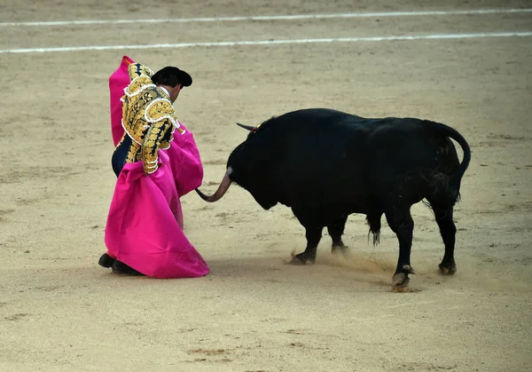 Toro Español Espectáculo Tradicional Plaza Toros España — Foto de Stock