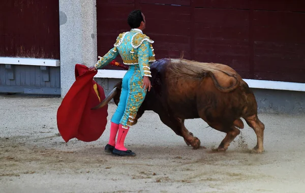 Tourada Espanhola Com Touro Com Chifres Grandes — Fotografia de Stock