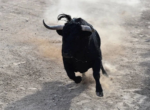 Der Stier Läuft Der Spanischen Stierkampfarena — Stockfoto