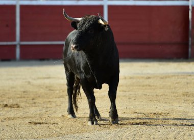 geleneksel gözlük İspanya'da boğa