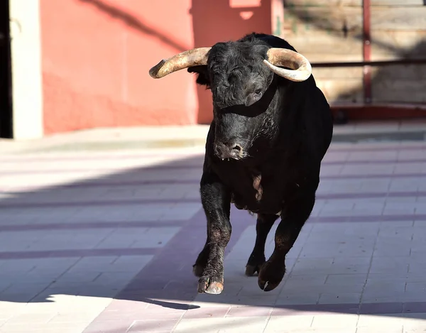 伝統的な光景で大きな角を持つスペインの雄牛黒 — ストック写真