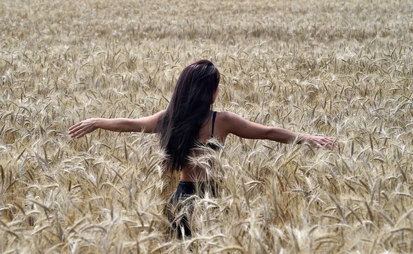 Uma Menina Bonita Campo Picos Dourados Liberdade — Fotografia de Stock