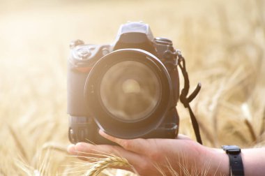 Buğday tarlasında fotoğraf makinesi.