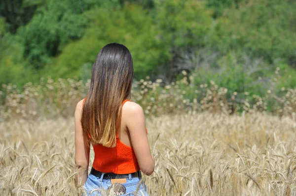 Красивая Девушка Свободе Пшеничном Поле — стоковое фото
