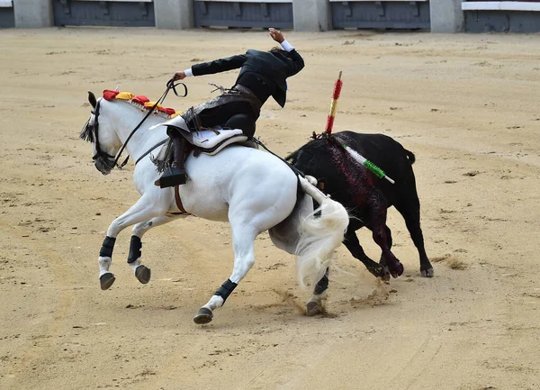 Коррида Между Быком Лошадью Испании Испанском Корриде — стоковое фото