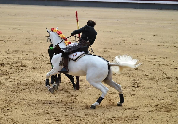 Stierkampf Zwischen Stier Und Pferd Spanien Auf Der Spanischen Stierkampfarena — Stockfoto