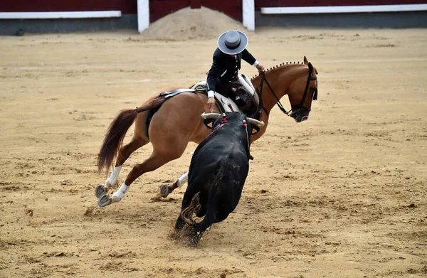 Bullfighting Entre Touro Cavalo Espanha Praça Touros Espanhola — Fotografia de Stock