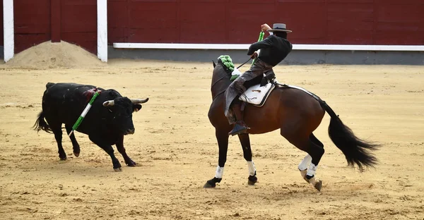 Stierkampf Zwischen Stier Und Pferd Spanien Auf Der Spanischen Stierkampfarena — Stockfoto