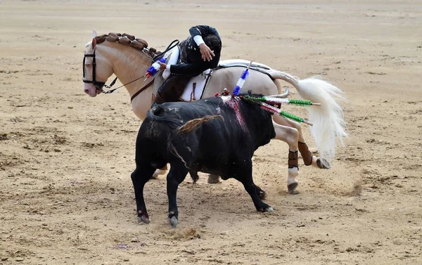Bullfighting Entre Touro Cavalo Espanha Praça Touros Espanhola — Fotografia de Stock