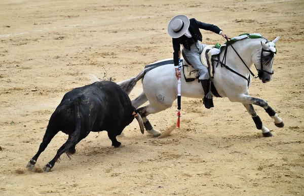 Tauromachie Entre Taureau Cheval Espagne Sur Arène Espagnole — Photo