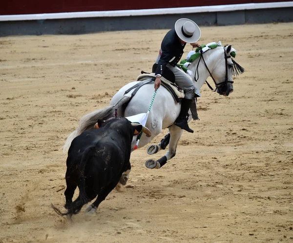 Stierkampf Zwischen Stier Und Pferd Spanien Auf Der Spanischen Stierkampfarena — Stockfoto